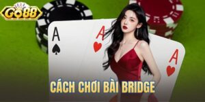 Cách Chơi Bài Bridge