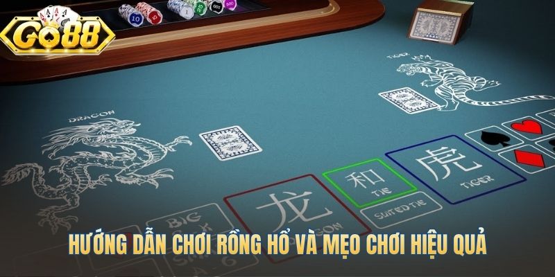 Các mẹo chơi rồng hổ hiệu quả với soi cầu và quản lý vốn
