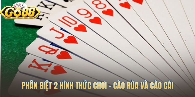 So sánh hai biến thể Cào Rùa và Cào Cái phổ biến